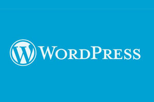 WordPress 6.3.2版本发布