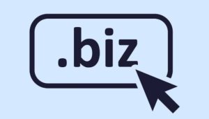 .biz域名