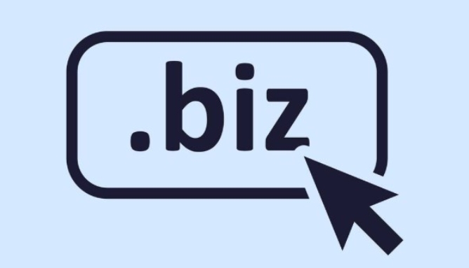.biz域名