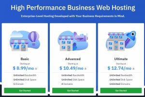 Hostwinds企业型虚拟主机