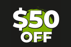 WordPress插件MainWP黑五活动