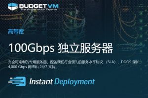 大带宽服务器