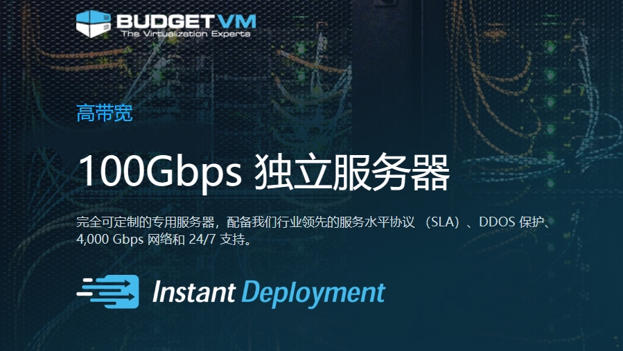 大带宽服务器