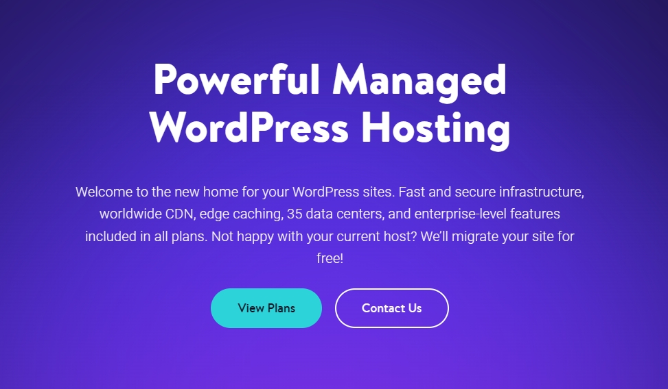 Kinsta WordPress主机托管服务