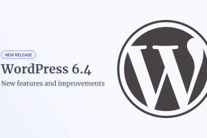 WordPress 6.4