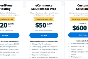 WP Engine黑五活动