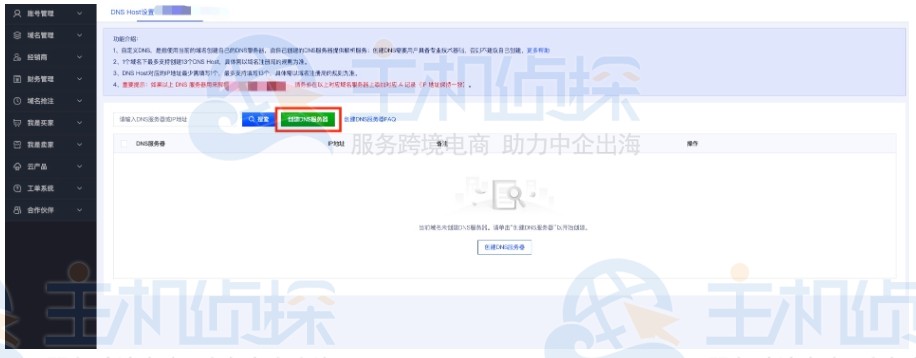 自定义DNS Host页面