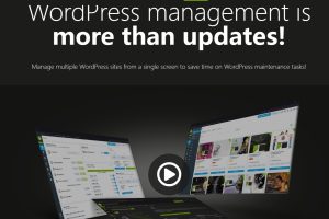 WordPress插件MainWP