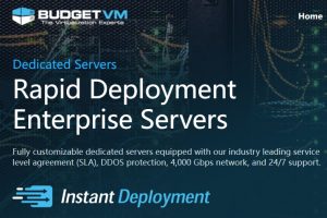 BudgetVM专用服务器