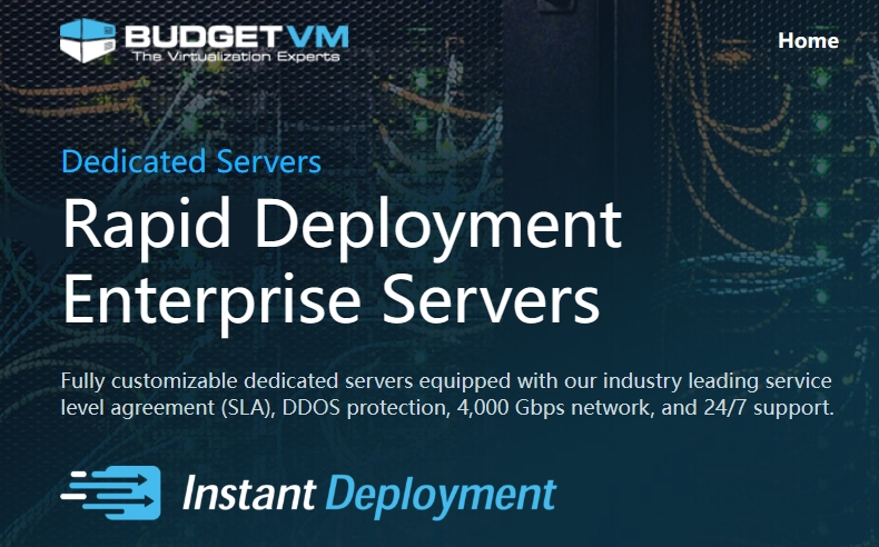 BudgetVM专用服务器