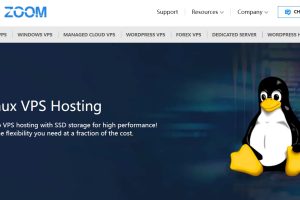 IOZoom Linux VPS主机