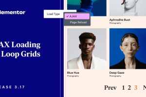 Elementor 3.17版本