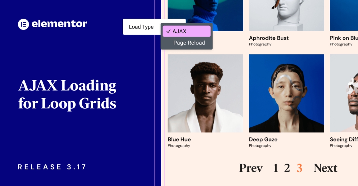 Elementor 3.17版本