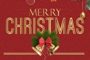 Database Mart圣诞活动