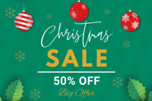 HostEase圣诞优惠