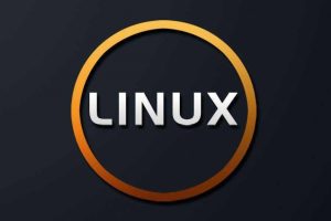 Linux虚拟主机