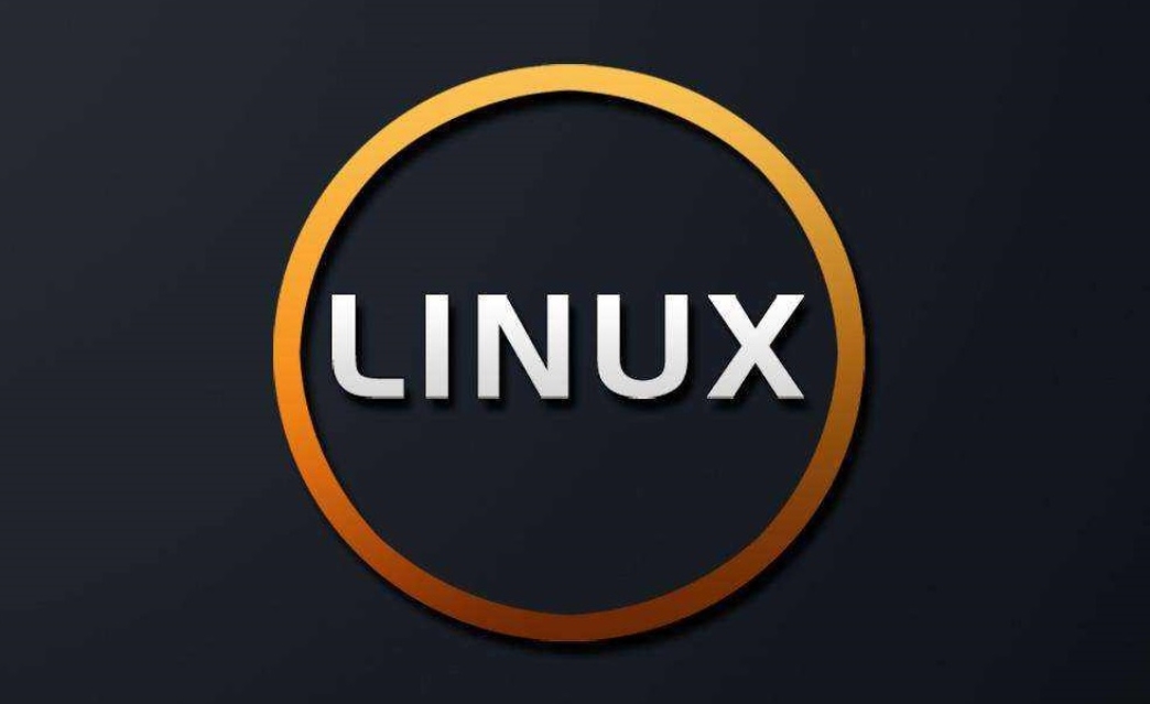 Linux虚拟主机