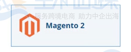 Magento 2选项