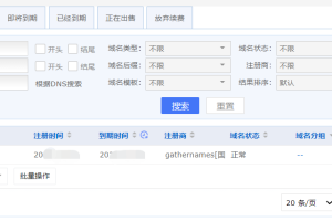 聚名网域名解析步骤