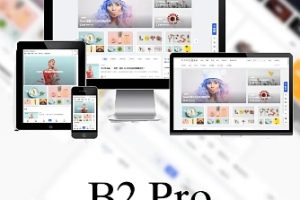 B2 PRO主题