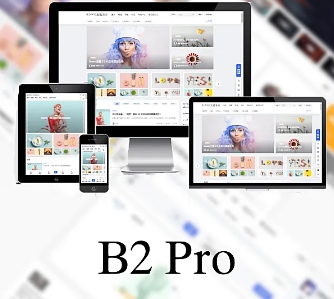 B2 PRO主题