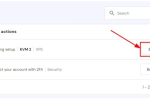 Hostinger VPS主机激活