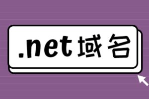 .net域名