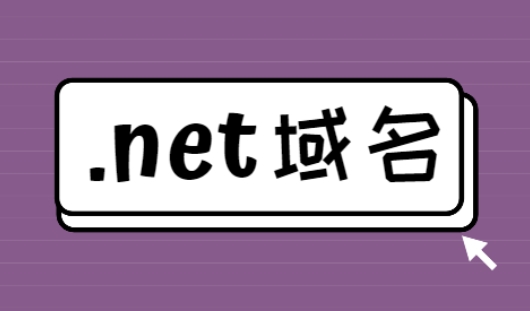.net域名