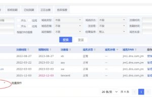 聚名网域名保护