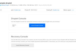 访问Droplet控制台