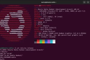 Ubuntu 24.04 LTS