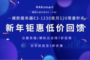 RAKsmart新年钜惠
