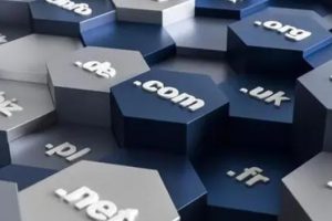 网站域名