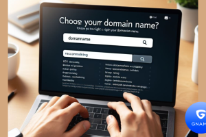 选择正确的域名