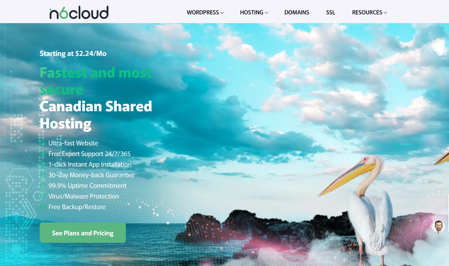 N6 Cloud虚拟主机