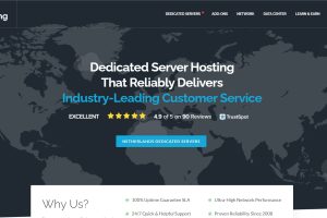 Maple-Hosting荷兰服务器