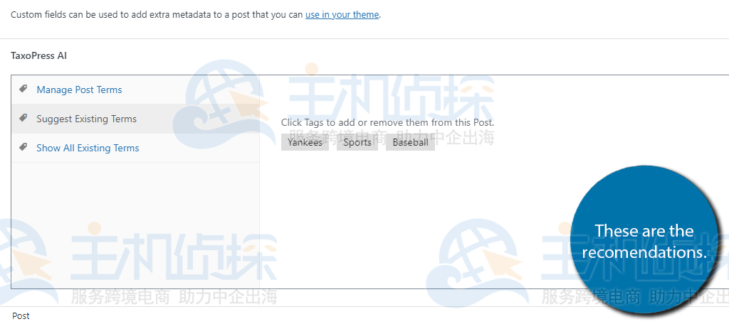 WordPress中的AI标签