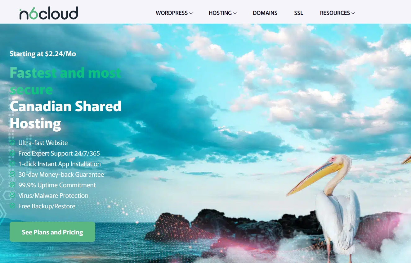 N6 Cloud加拿大虚拟主机