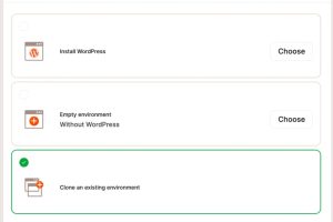 在MyKinsta中克隆现有环境