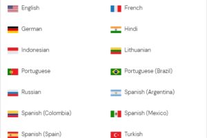 hPanel上的语言选择器图标