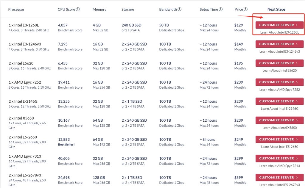 荷兰专用服务器方案