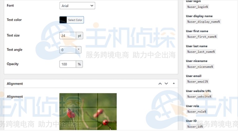 选择字体类型和对齐方式