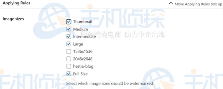 选择将应用水印的图像大小