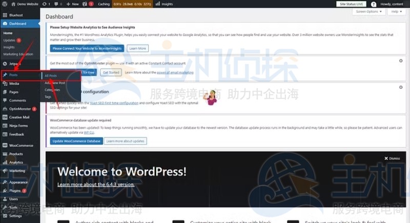 登录WordPress仪表板