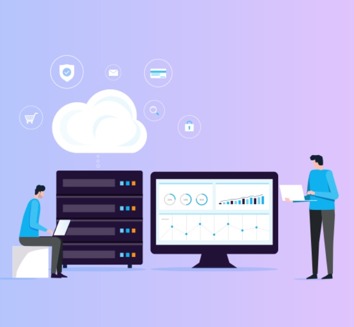 Maple-Hosting荷兰服务器