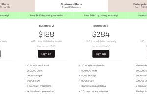 Kinsta WordPress商业方案