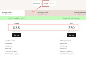 Kinsta Starter Plans月付方案