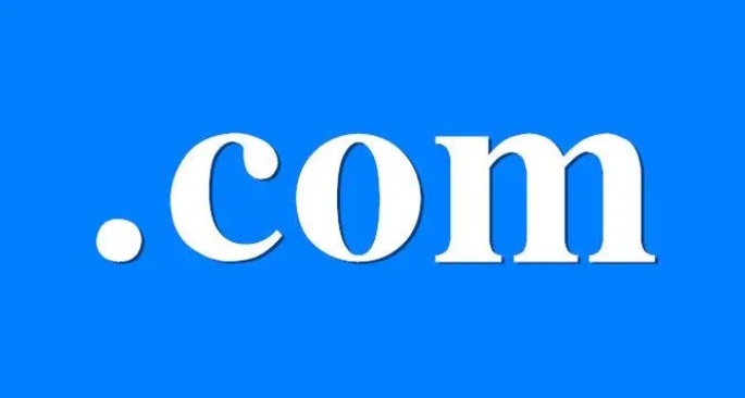 com域名
