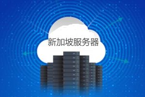 新加坡服务器租用价格