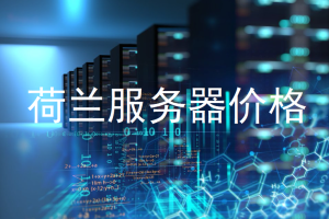 荷兰服务器价格